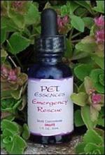 Flower Essence for Seizures in Dogs, available from www.carolesdoggieworld.com –Use at time of seizure as “Emergency Rescue” to help your dog recover and thereafter to help ease his or her emotional stress.